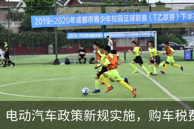 电动汽车政策新规实施，购车税费格局面临变革